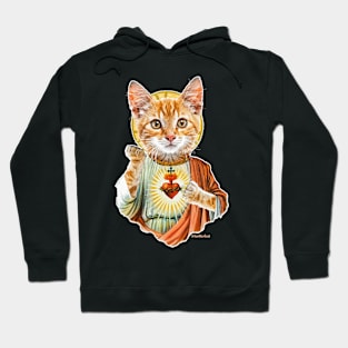 Catsus Hoodie